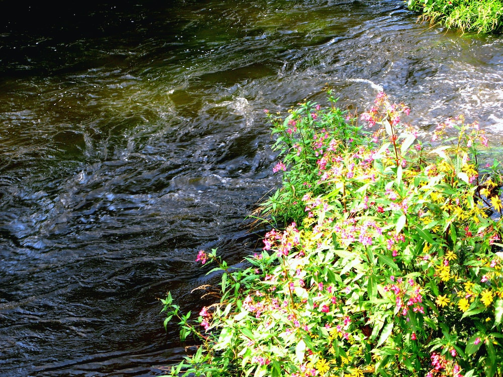 Photo - Zur Triftsperre