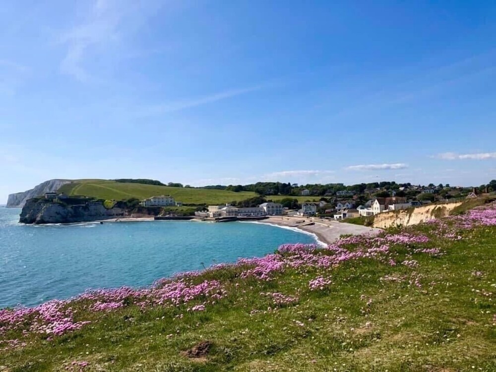 Breathtaking Ocean Views Luxury Beachside Apartment Freshwater Bay Aonb In Freshwater Hotel Rates Reviews On Orbitz