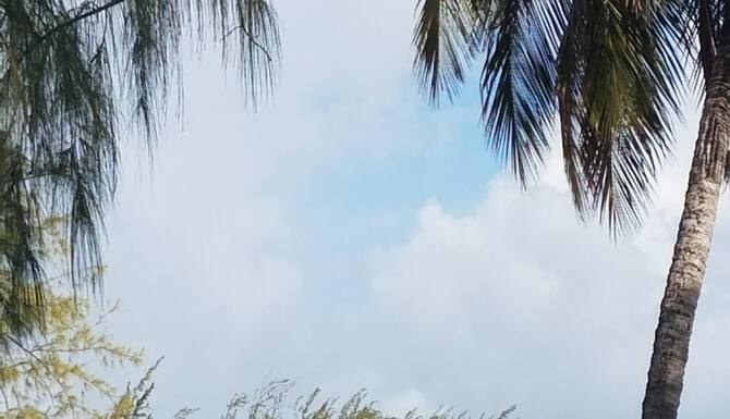 Get Mangoville Near Dover Beach Oistins Brb Expedia Fr For Free Get Wallpaper Mangoville Near Dover Beach Oistins Brb Expedia Fr For Free