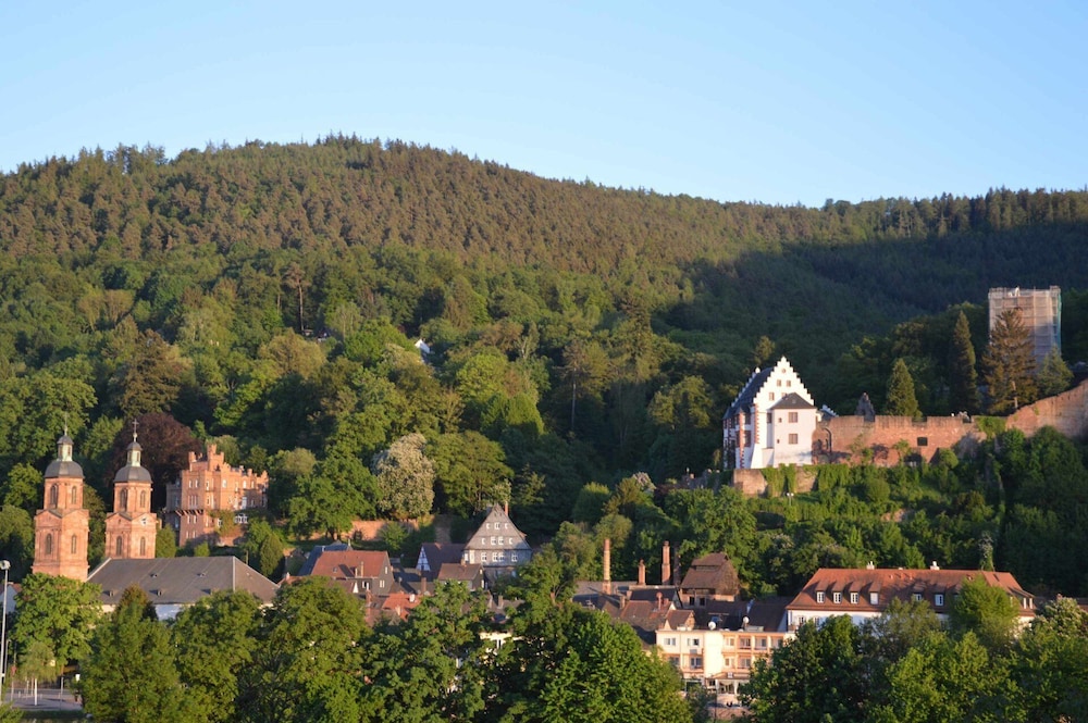 Exterior, Panoramic view Miltenberg, 3 pers., Center, on the Main, terrace, boat rental, P