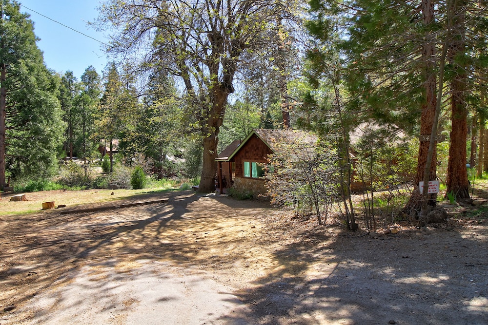 Rustic Dog-Friendly Cabin in the Woods with Private Hot Tub