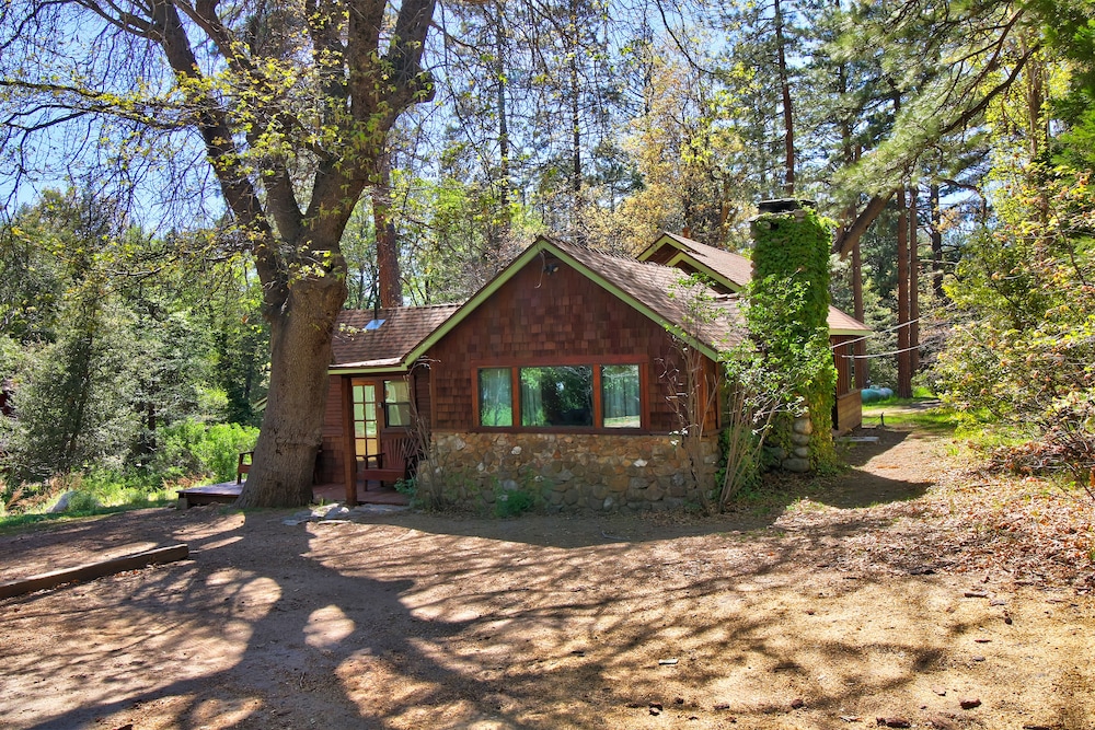 Rustic Dog-Friendly Cabin in the Woods with Private Hot Tub