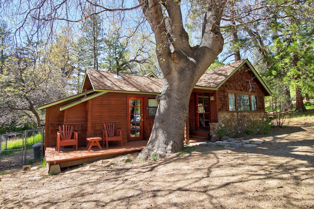 Rustic Dog-Friendly Cabin in the Woods with Private Hot Tub