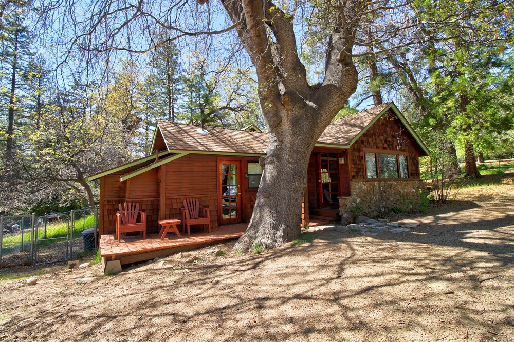 Rustic Dog-Friendly Cabin in the Woods with Private Hot Tub