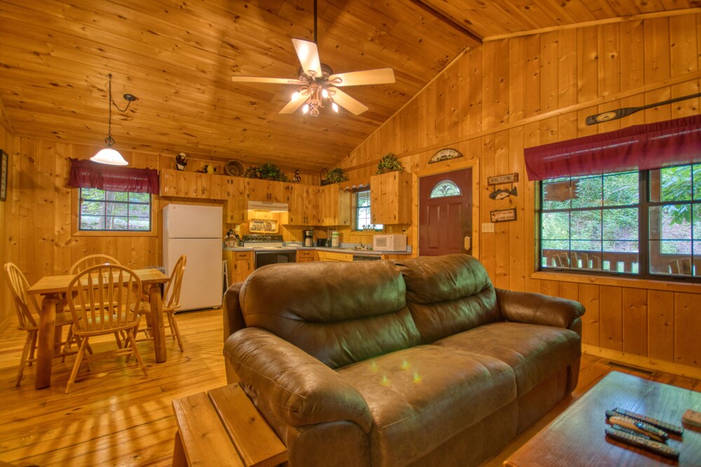 Secluded Pet Friendly Cabin Off Dollywood Lane Pigeon ...