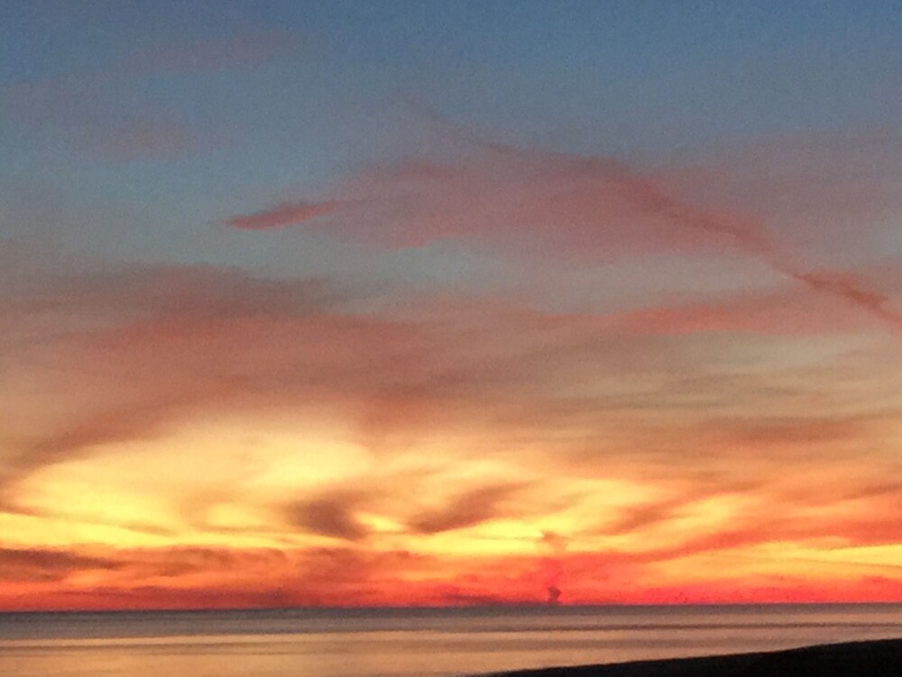 Pet Friendly!!! On the Gulf