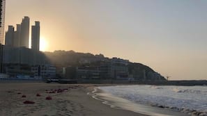 在海灘附近