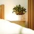 City House Apartment - Pham Viet Chanh