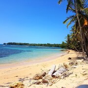 Drago Beach House In Bocas Del Toro Hotel Rates Reviews Orbitz Beach