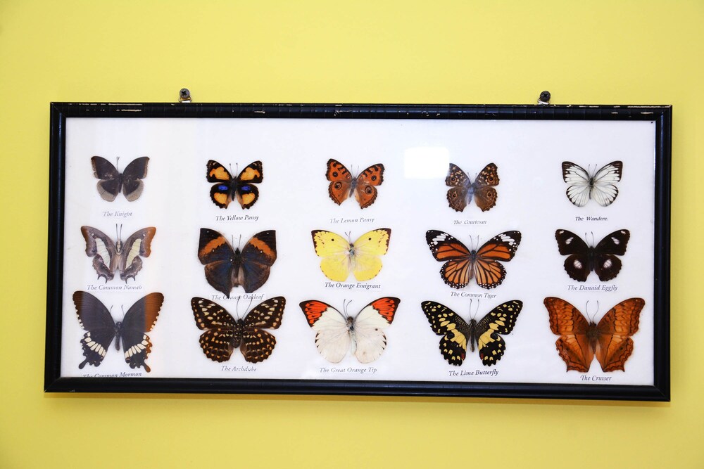 Foto - Apart-hotel Villa Lav