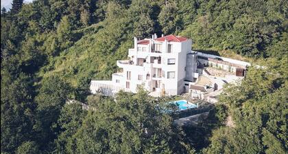 Forest Suites Boutique Hotel