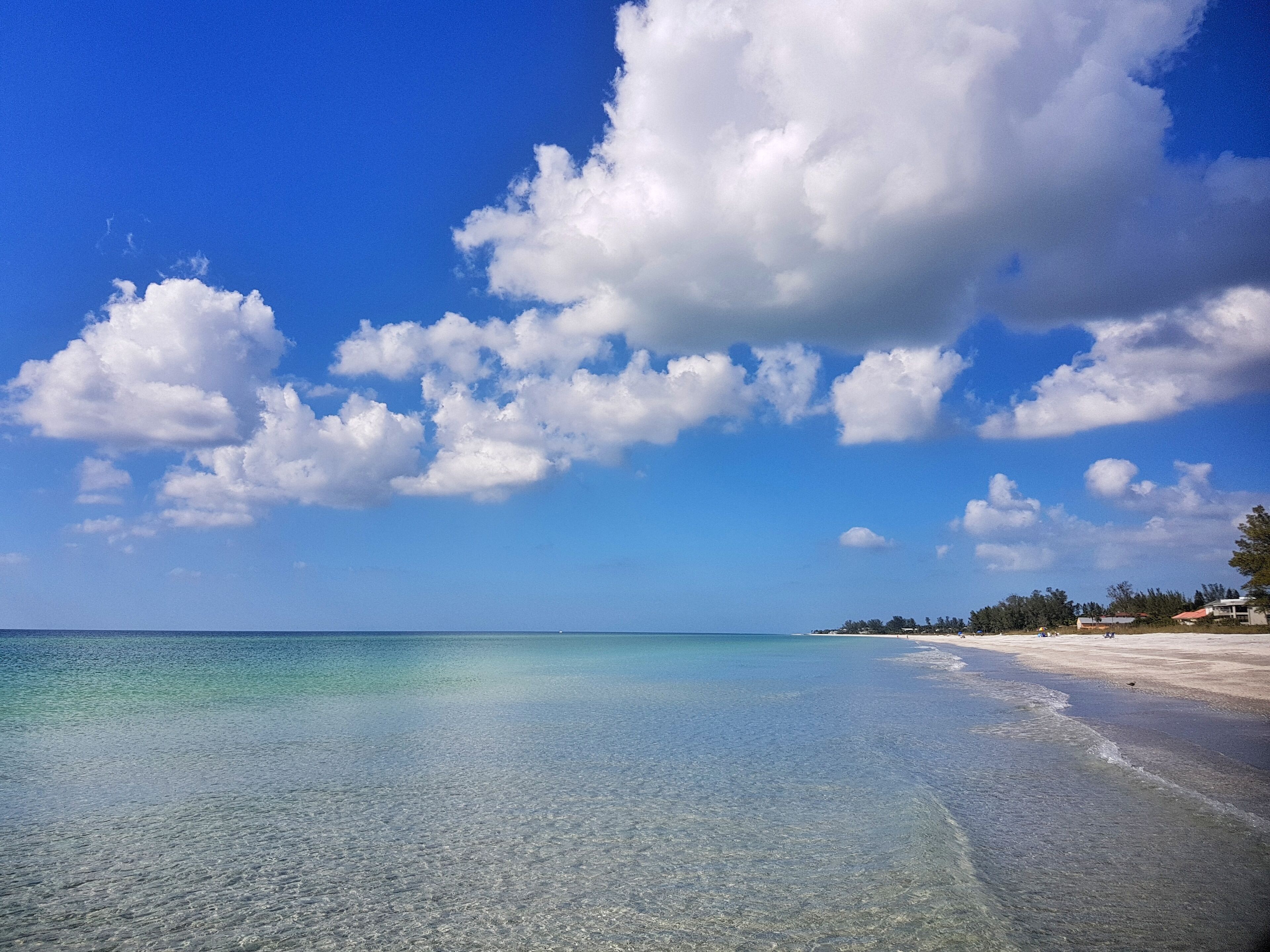 Welcome Snowbirds! Enjoy the beautiful Island Longboat Key with an amazing beach in Sarasota, United States