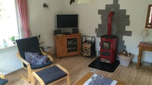 TV, fireplace, video-game console, DVD player
