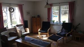 TV, fireplace, video-game console, DVD player