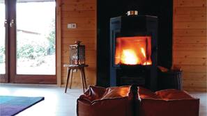 Fernseher, Kamin, DVD-Player