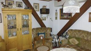 TV, fireplace, DVD player