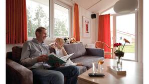 Fernseher, Kamin, DVD-Player