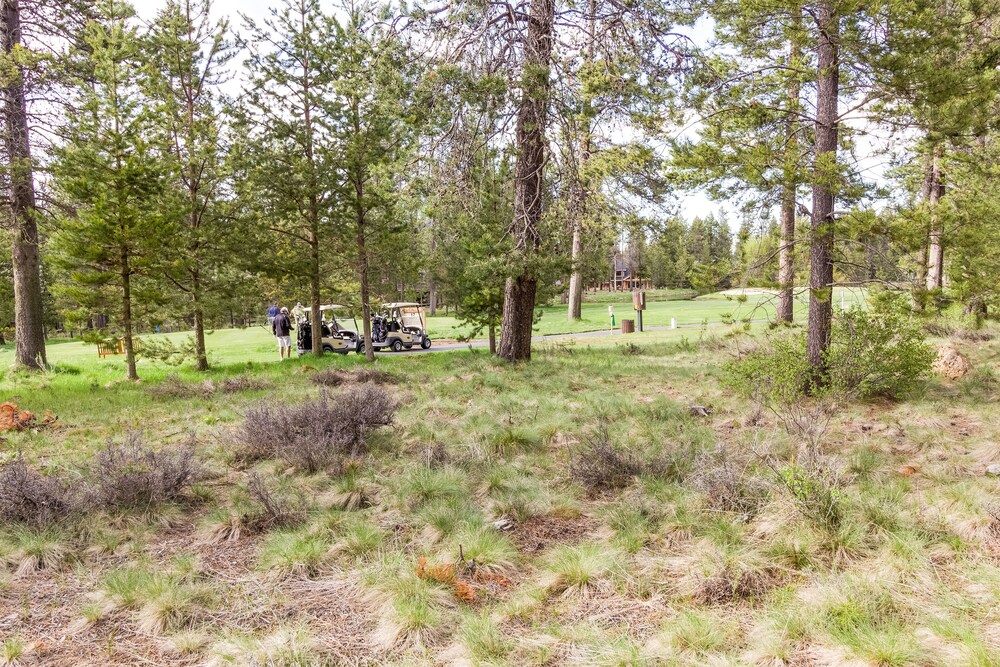 Stunning Luxury Home, 5 Bedrooms, Wrap-Around Golf Course Views - BIGL18