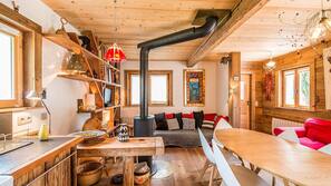 TV, fireplace, DVD player, books