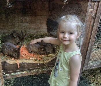 Hotel Und Restaurant Haus Irmer Cottbus 2020 Room Prices