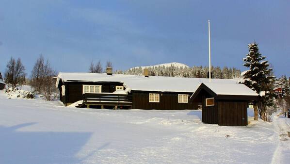 Udvalgt billede