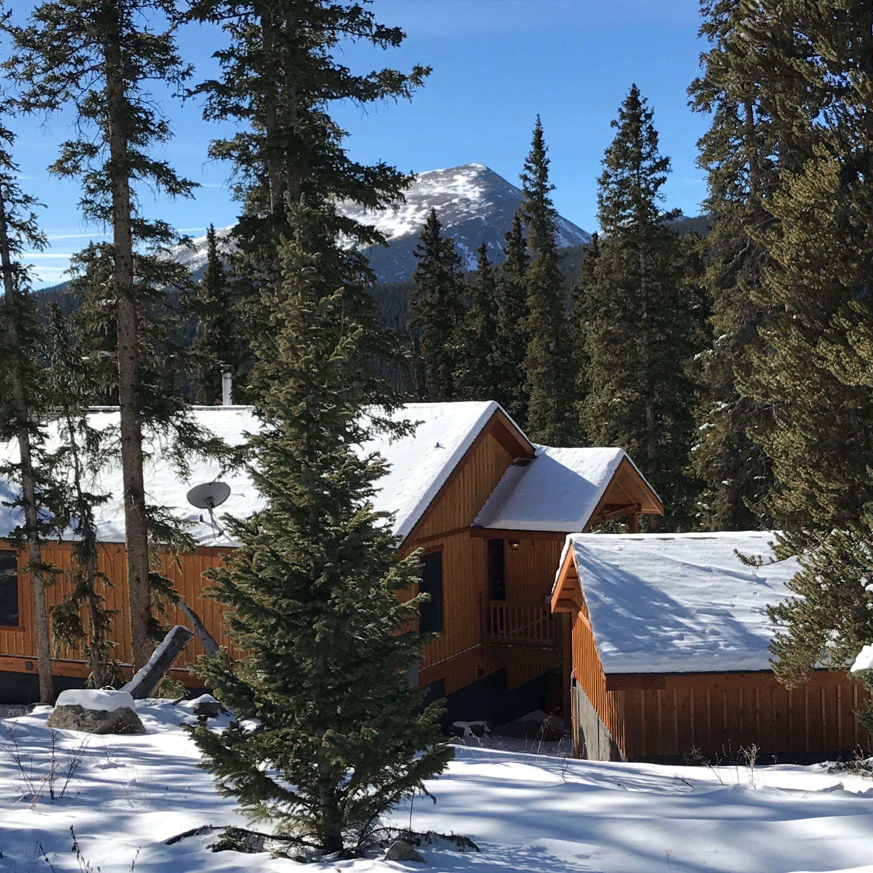 Alpine Mountain Cabin - Perfect Multi-family Retreat 3 Br/2 Bath in Fairplay, United States