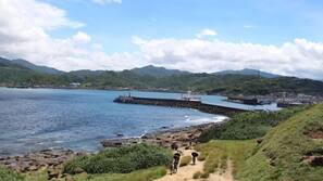 海灘