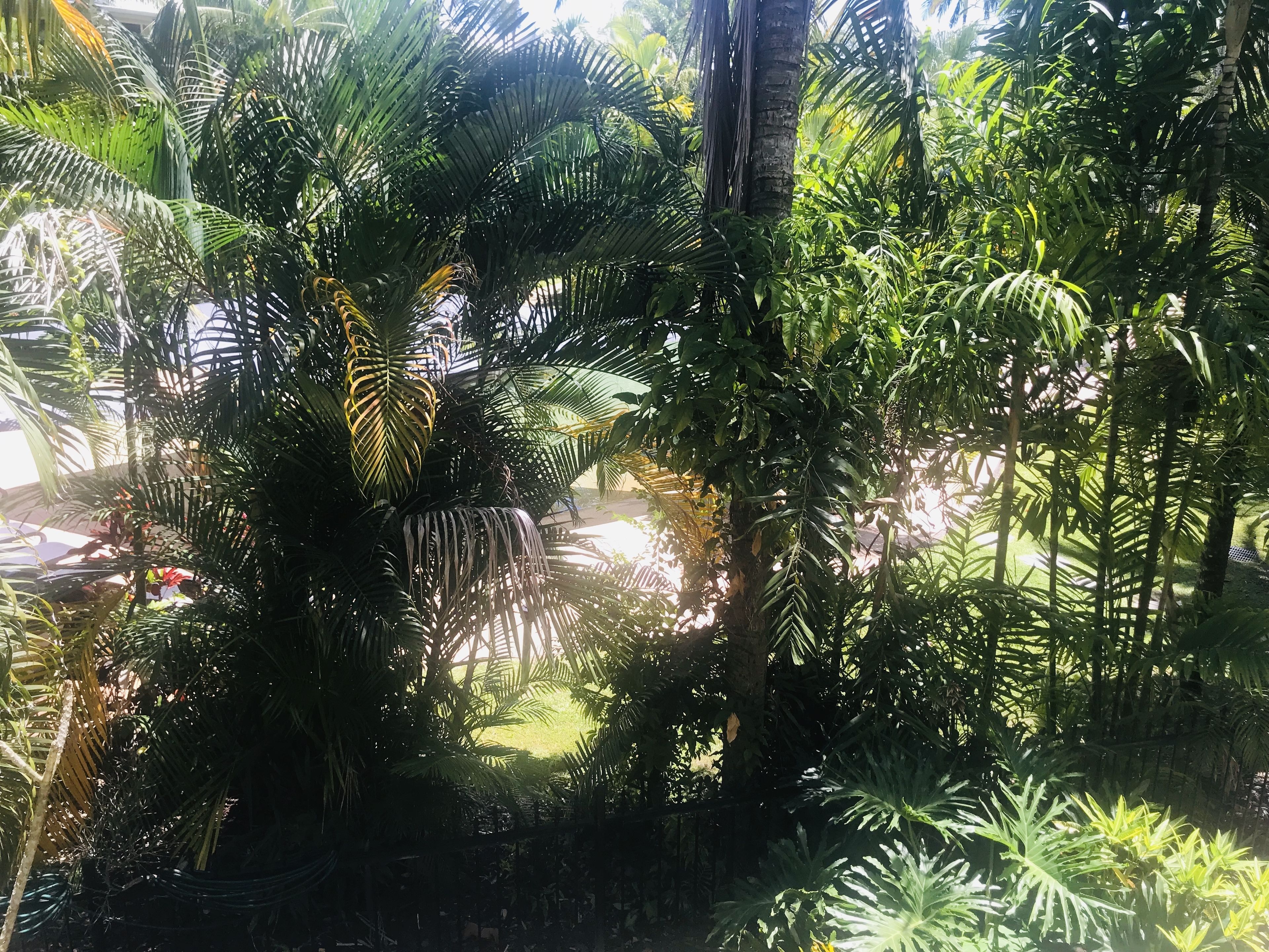 Trinity Links Resort