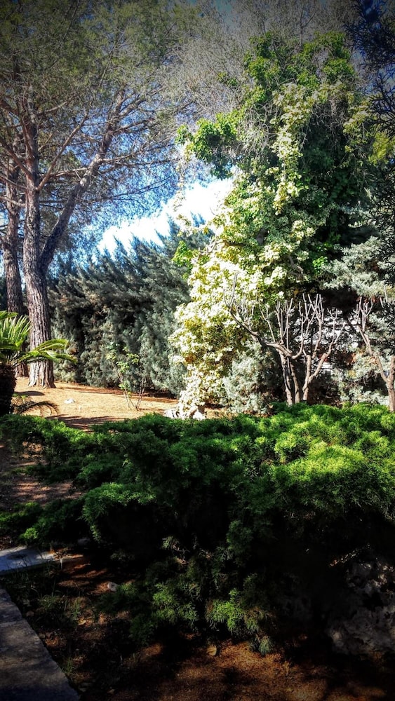 Foto - Bed and Breakfast La Villa AMBIENTI SANIFICATI CON GENERATORE DI OZONO