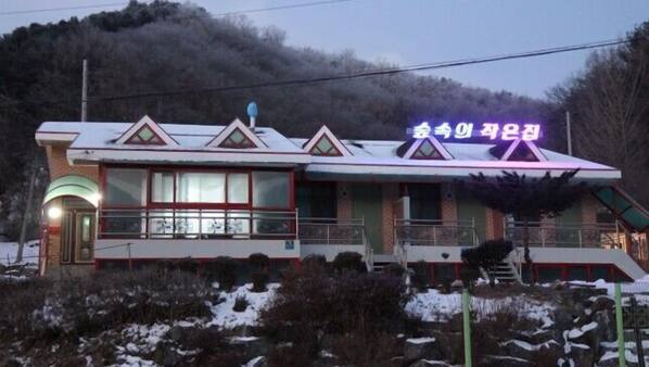 대표 사진