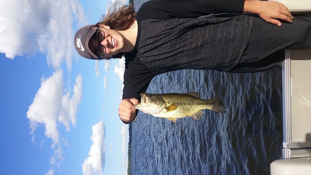 Lakefront Cottage with Sunset Views in Cadillac Best Rates & Deals on