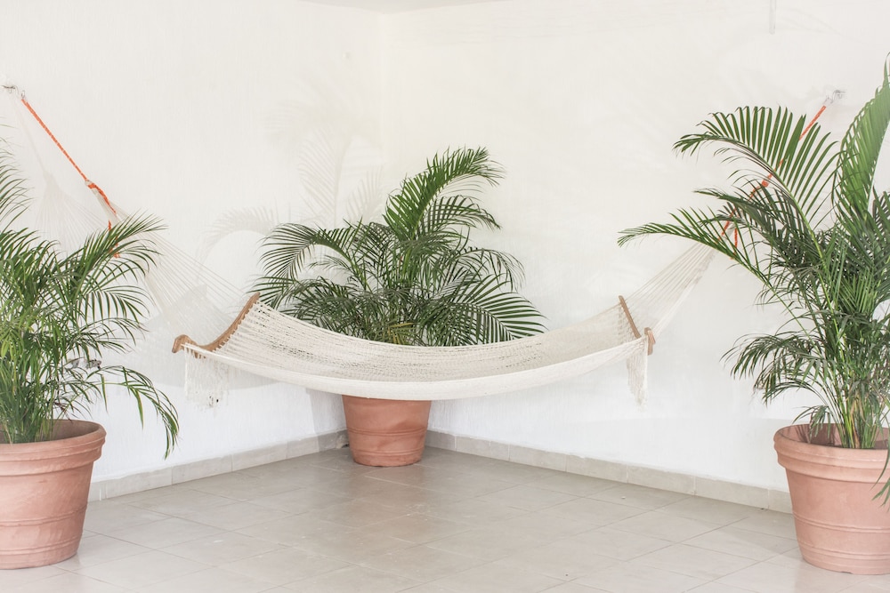 Foto - Hotel Turquesa