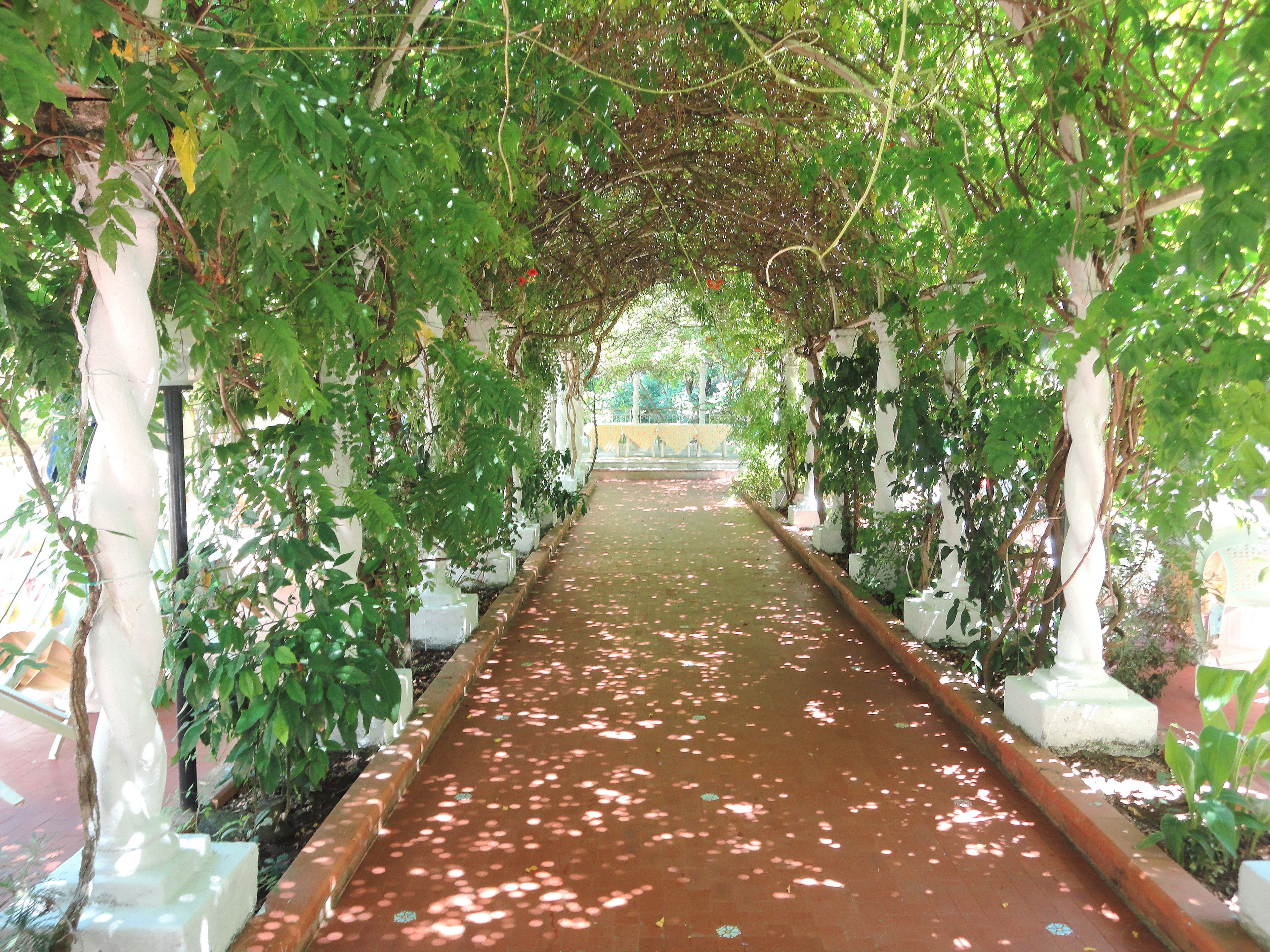 Villa Passarelli in Castellabate, Italy
