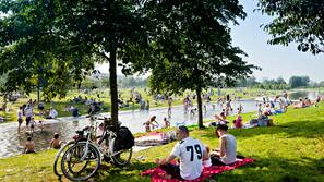 Piscine naturelle