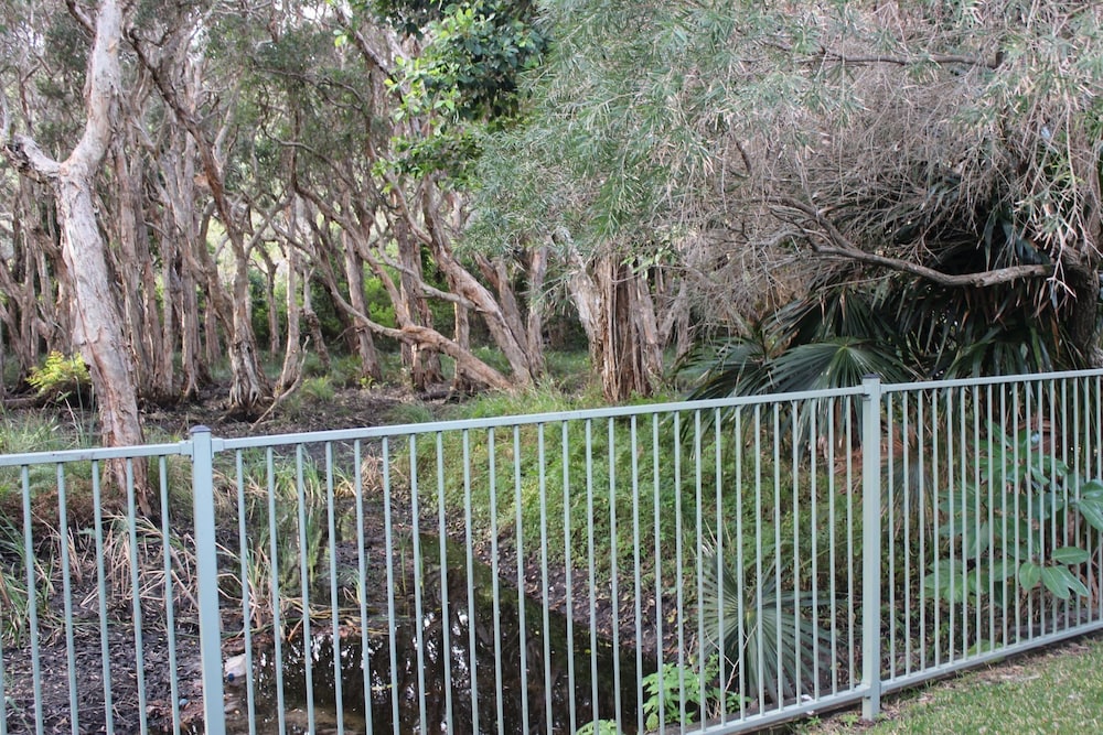 3 MELALEUCA
