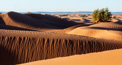 Desert Bivouac
