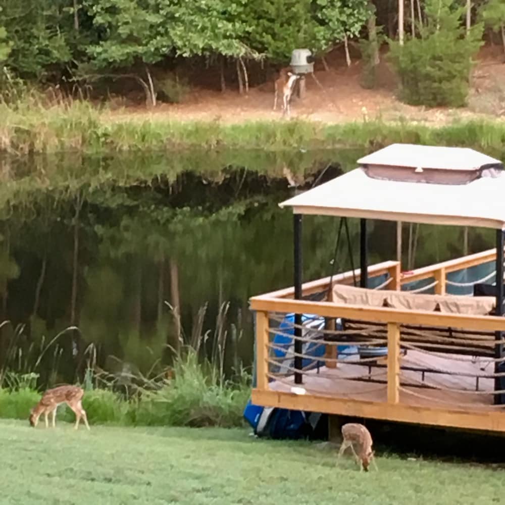 Angeltom Cabin & RV20 Acre Woods >16 pip + Jacuzzi + treehouse + UTV