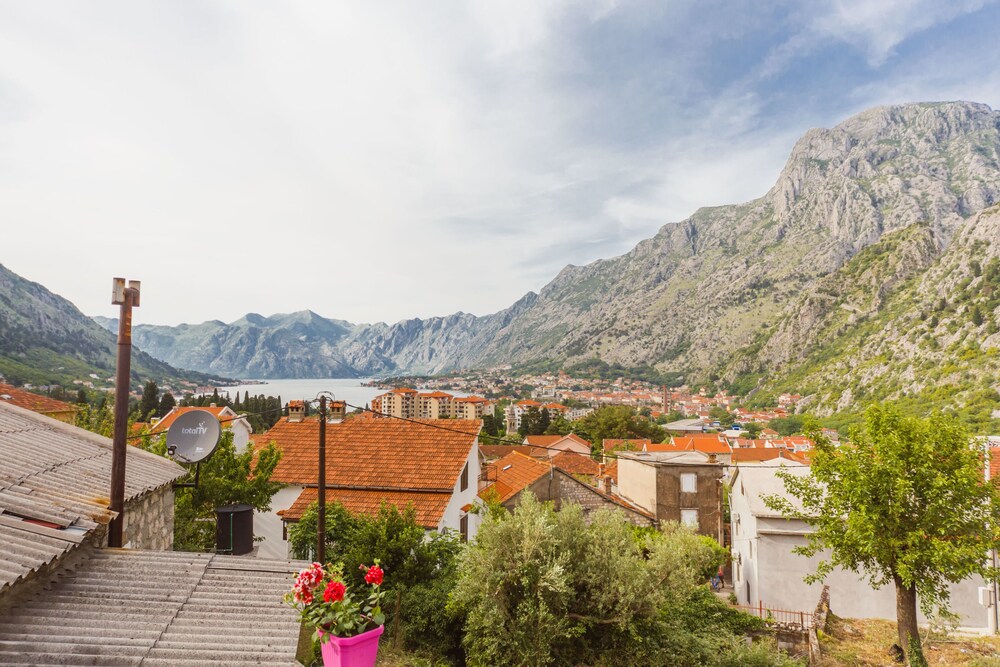 Photo - Paradise Bay Apartments