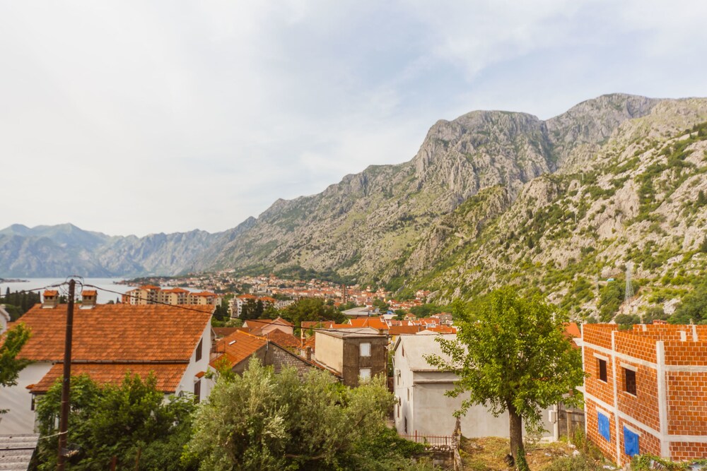 Photo - Paradise Bay Apartments