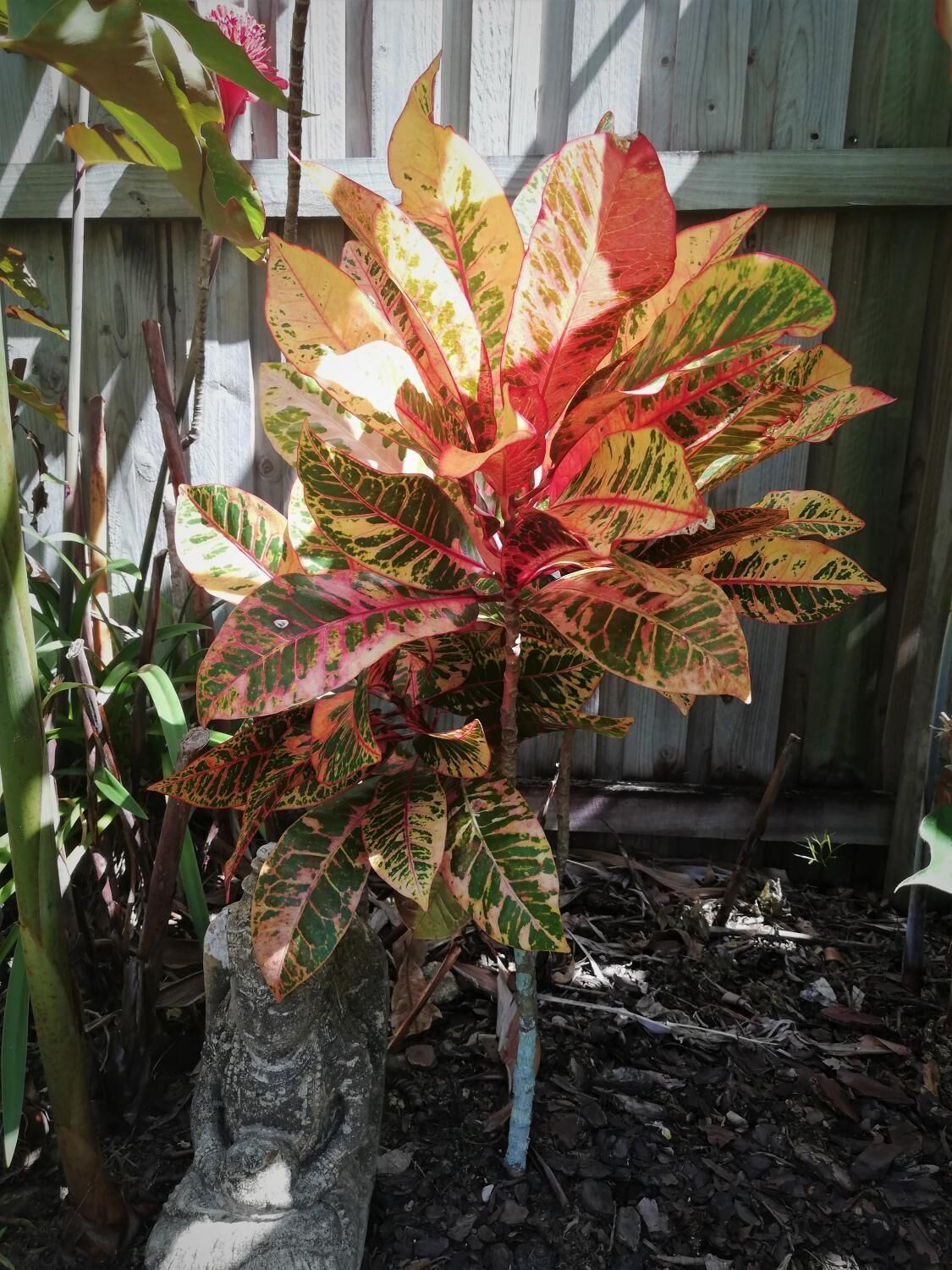 Latania Luxury Villas