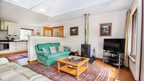 Flat-screen TV, fireplace, ping pong table, books
