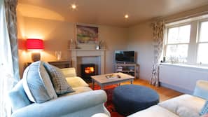 Flat-screen TV, fireplace, DVD player, books