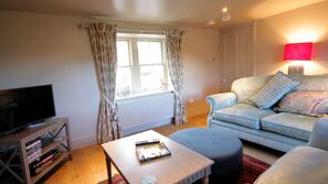 Flat-screen TV, fireplace, DVD player, books