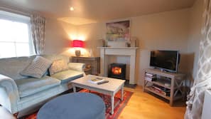 Flat-screen TV, fireplace, DVD player, books