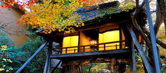 国立京都国際会館 左京区旅行 エクスペディア