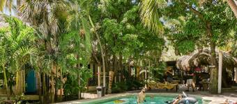Book The Best Hotels In Puerto Escondido For 21 Free Cancellation On Select Hotels Expedia Ca Book The Best Hotels In Puerto Escondido For 21 Free Cancellation On Select Hotels Expedia Ca