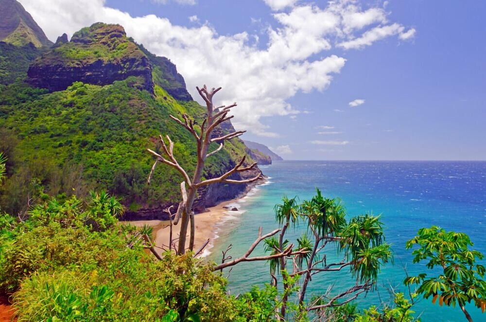 Secret Cove Cottage Romantic Beachfront Blue Lagoon Hideaway