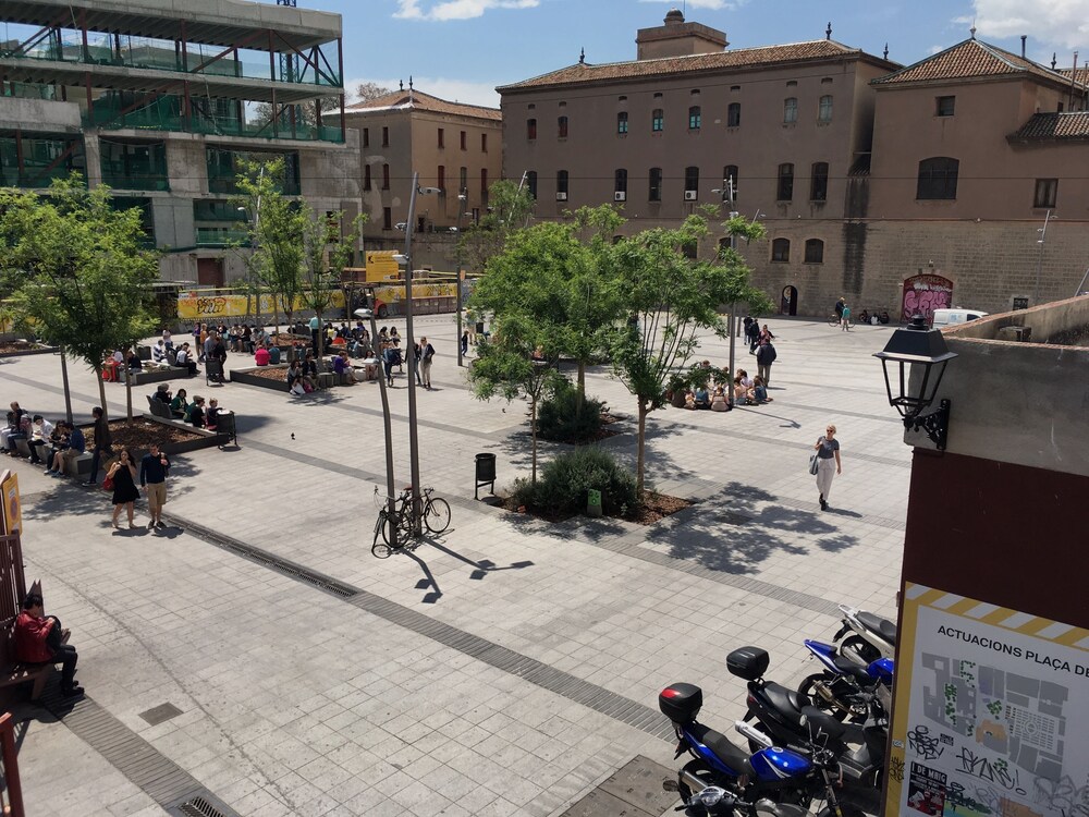 Foto - Hostal la Palmera