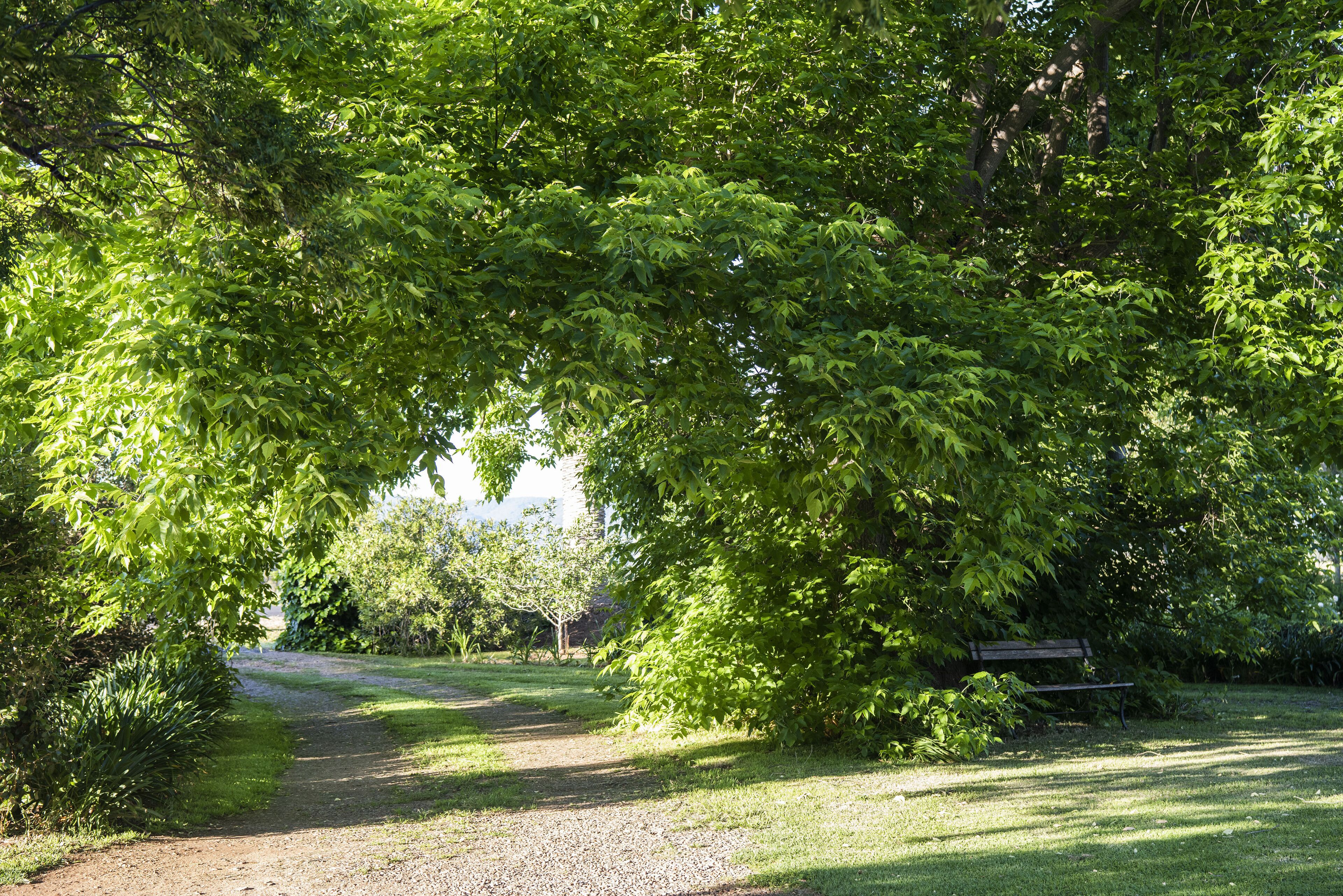 Tom's Cottage- A Wilgowrah Country Escape