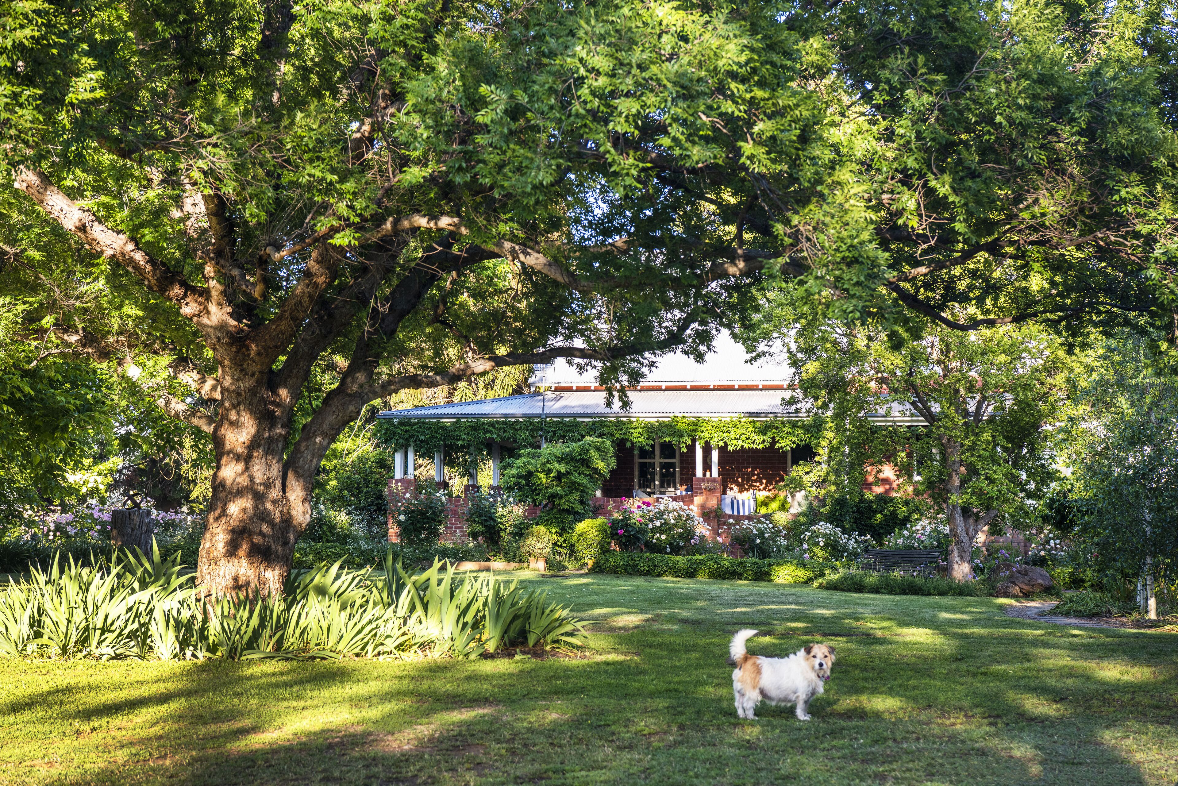 Tom's Cottage- A Wilgowrah Country Escape